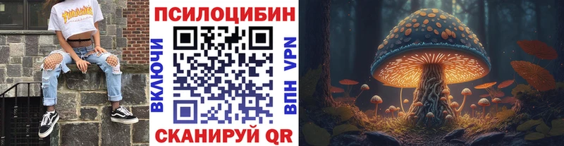 где купить   darknet какой сайт  Псилоцибиновые грибы ЛСД  Щёлково 